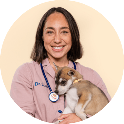 Dr Samantha Rulli